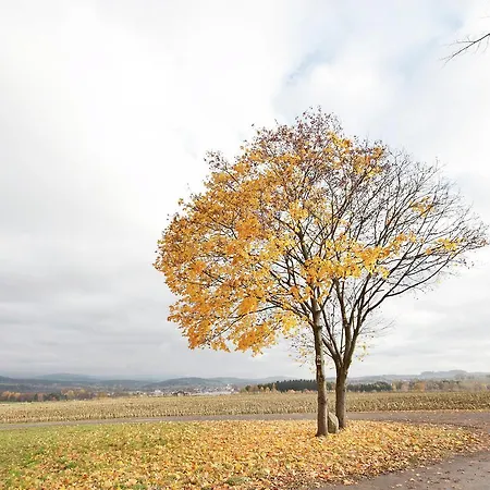 Karola Lägenhet Moosbach (Oberpfalz)